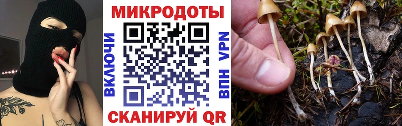 наркошоп  Мурманск  Псилоцибиновые грибы GOLDEN TEACHER 