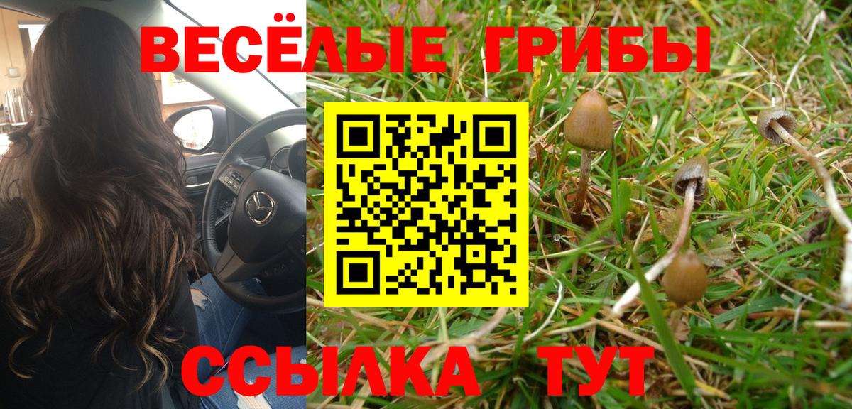 Галлюциногенные грибы MAGIC MUSHROOMS  Мурманск 