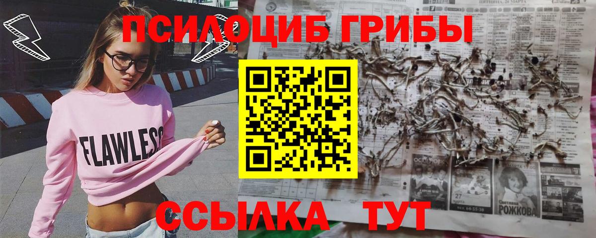 Псилоцибиновые грибы Magic Shrooms Мурманск