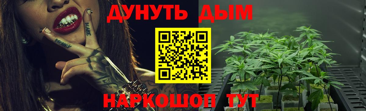 Бошки Шишки планчик  Канабис Ganja  Каннабис конопля  Мурманск 